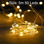 Christmas Decoration Light Copper Wire LED String Light Wedding Garland LED Lamps Christmas Tree Ornaments