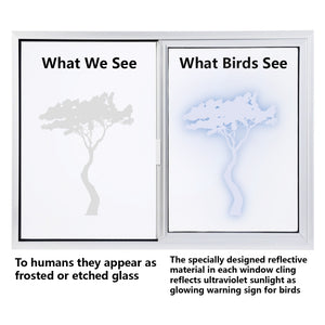 Transparent Window Decals Protect Wild Birds From Impact Decals